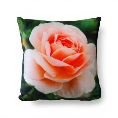 Rosa Day Breaker Cushion Cover