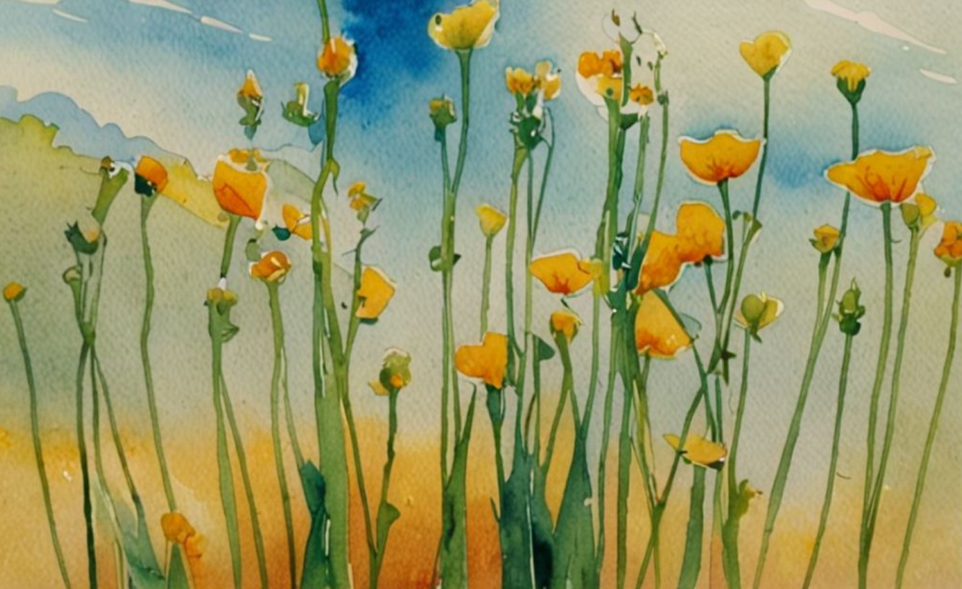 DEOSAI POPPIES