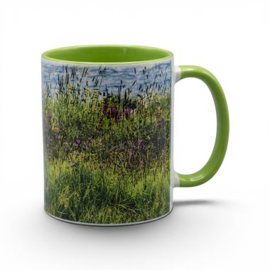 Deosai Mug