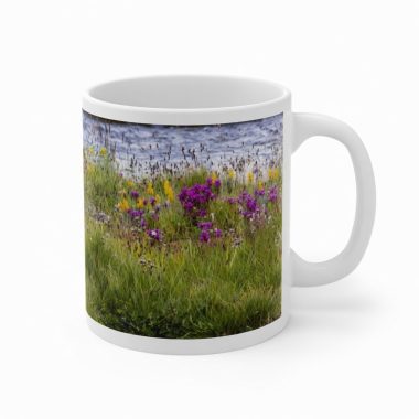 Deosai Mug